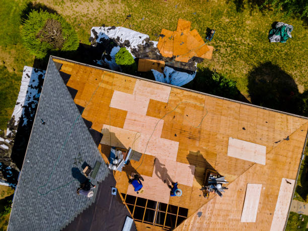 Best Roof Gutter Cleaning  in Warrior, AL