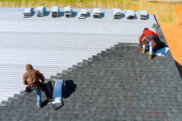 Roof Gutter Cleaning in Warrior, AL