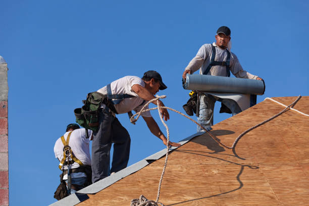 Best Flat Roof Repair Services  in Warrior, AL