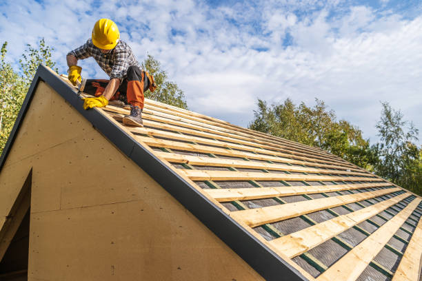 Best Residential Roofing Contractor  in Warrior, AL