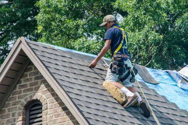 Roof Repair Estimates in Warrior, AL